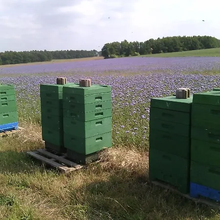 בית נופש Blockhaus